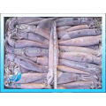 (Squid tube squid wings) gefrorener illex squid